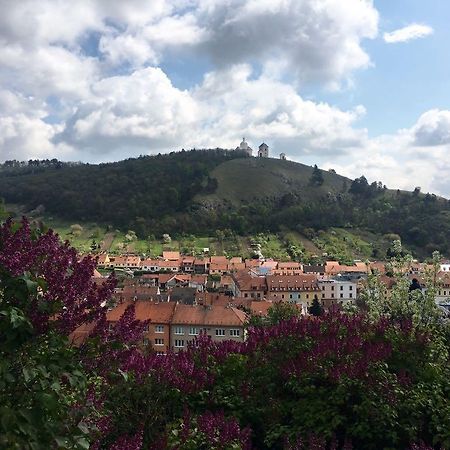 Apartman Havenatura Mikulov Eksteriør billede